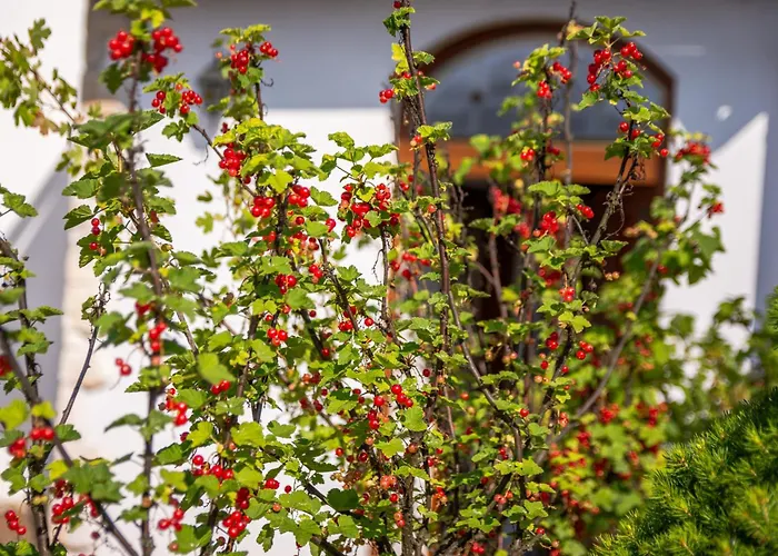 Kastiel Villa Pravenec